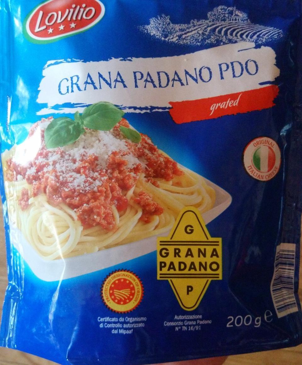 Fotografie - Grana Padano PDO grated Lovilio