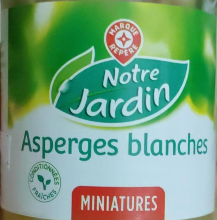 Fotografie - Asperges blanches Notre Jardin