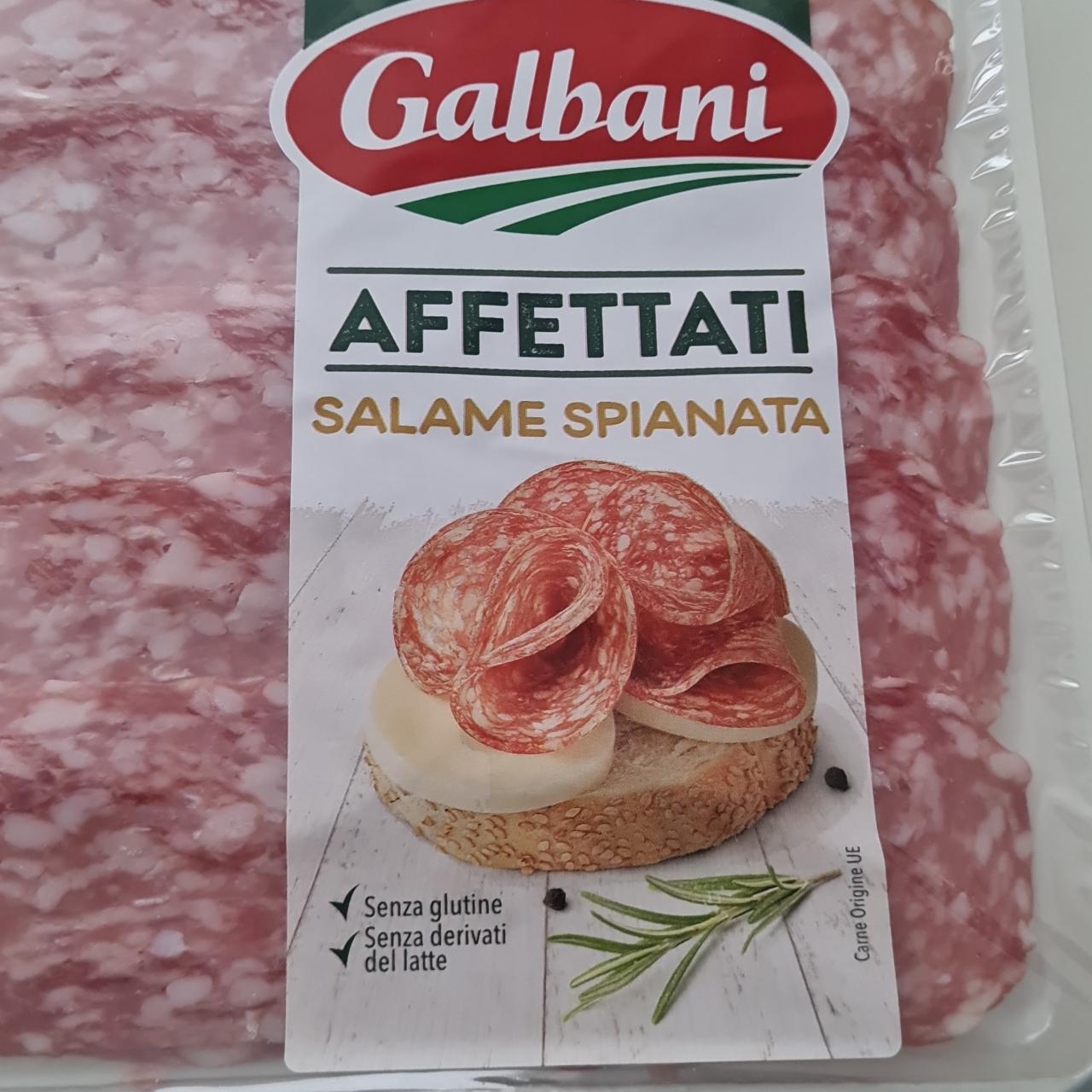 Fotografie - Affettati salame spianata Galbani