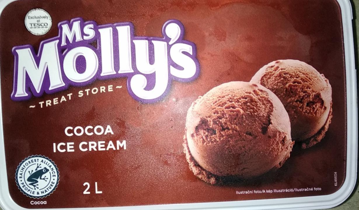 Fotografie - Treat Store cocoa ice cream Ms Molly's