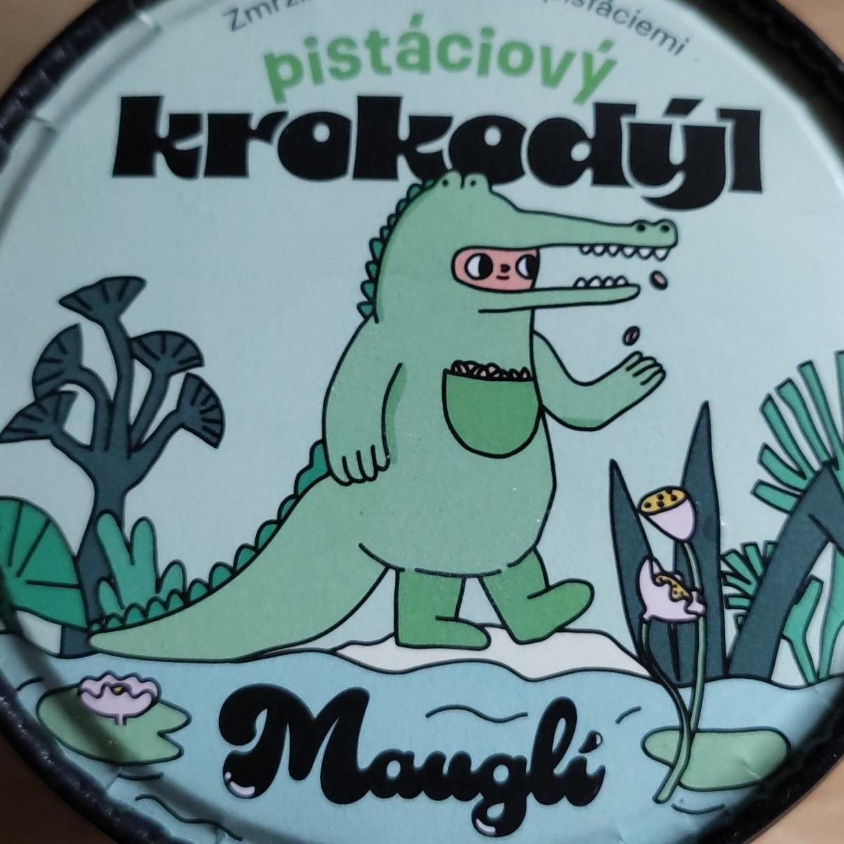 Fotografie - Pistáciový krokodýl Mauglí