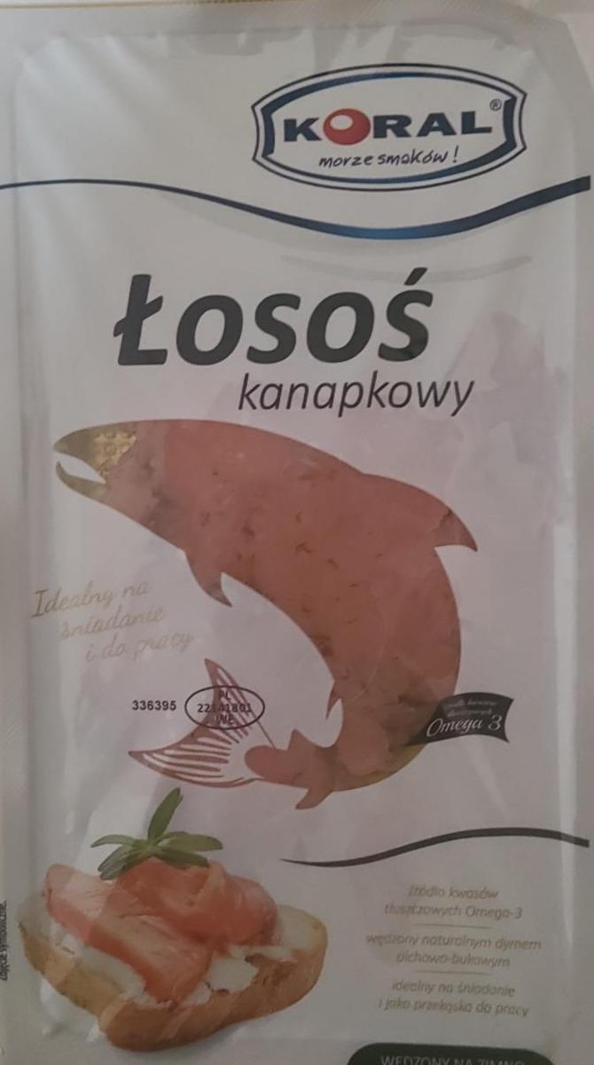 Fotografie - Losos kanapkowy Koral