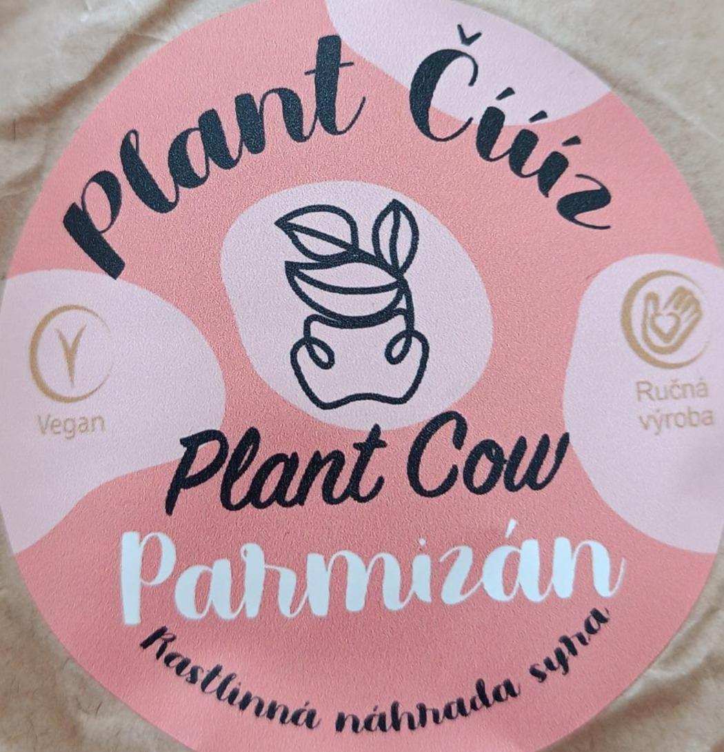 Fotografie - Plant Číííz Parmizán Plant Cow