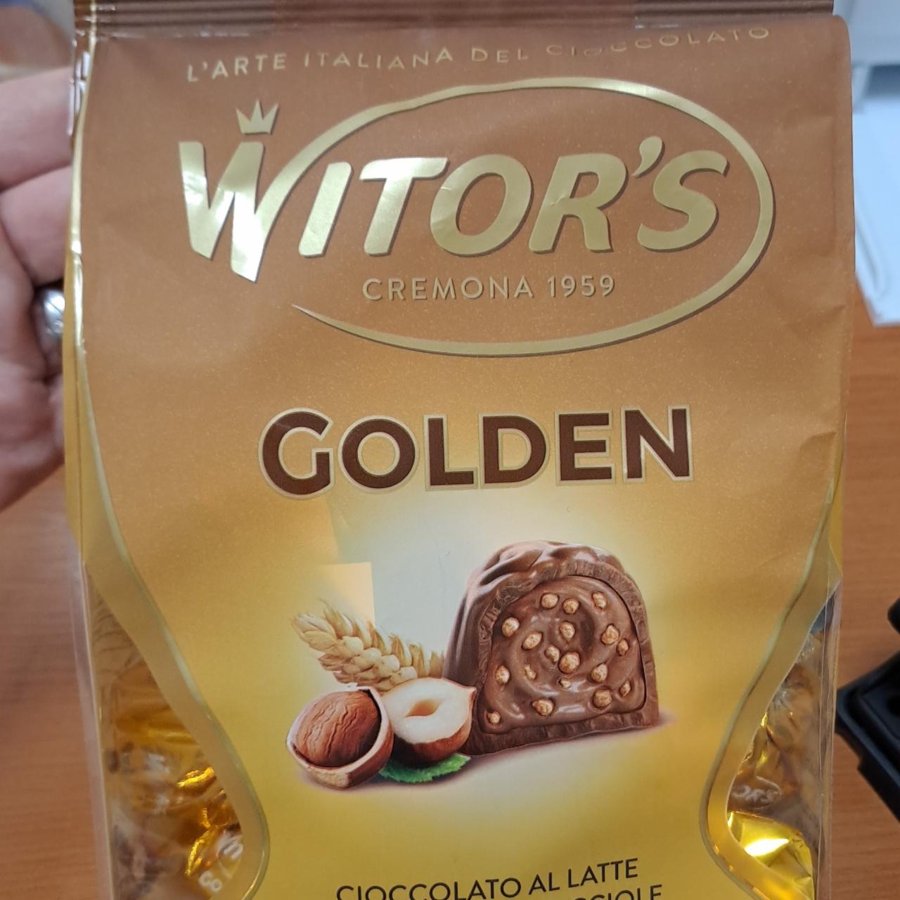 Fotografie - Golden Witor's