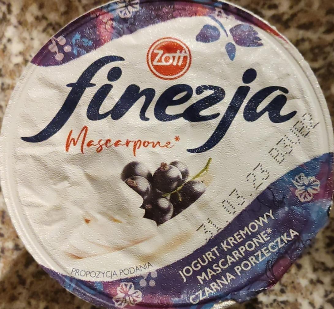 Fotografie - Finezia Jogurt kremowy mascarpone czarna porzeczka Zott