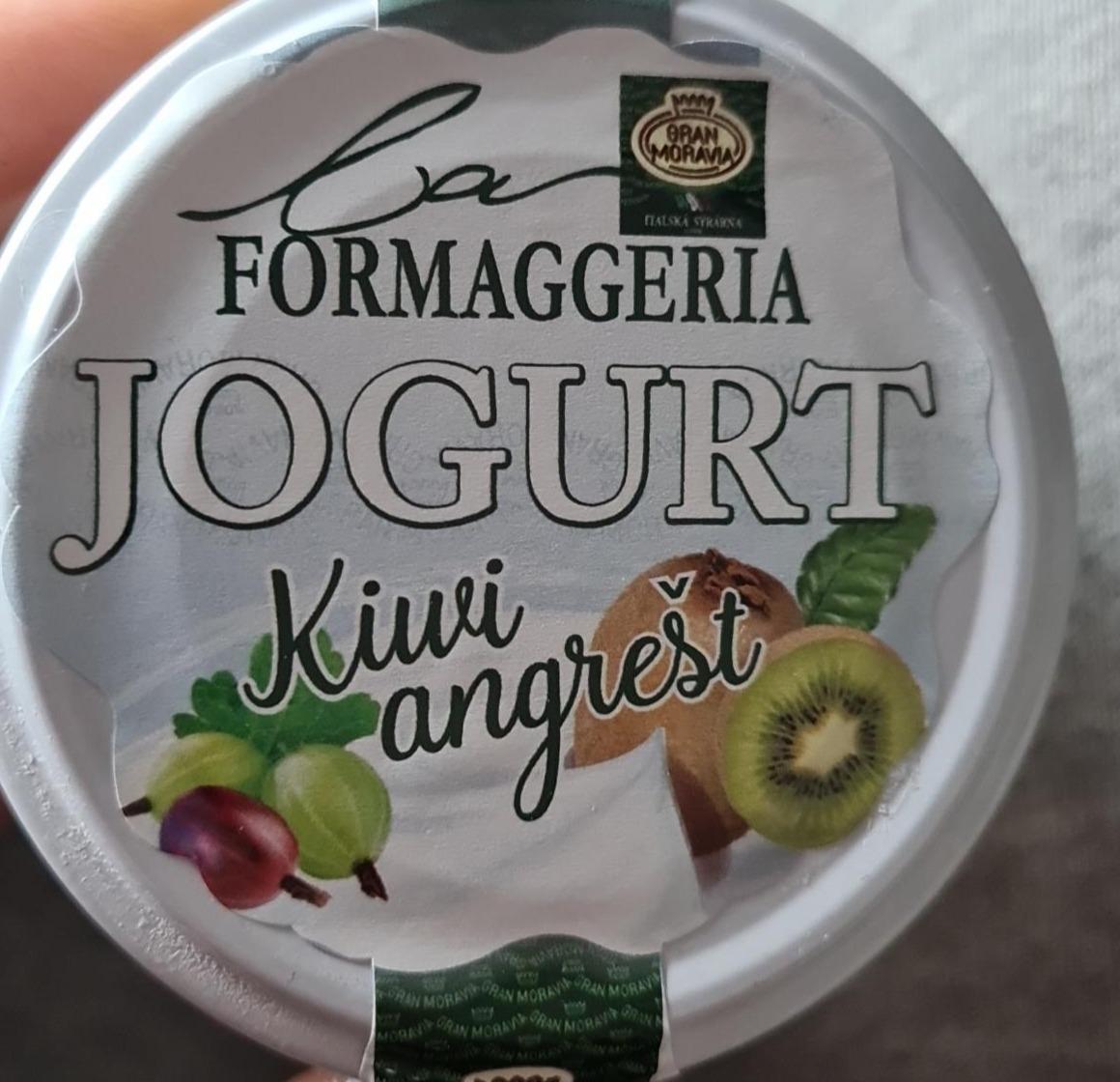 Fotografie - Jogurt kiwi angrešt Gran Moravia