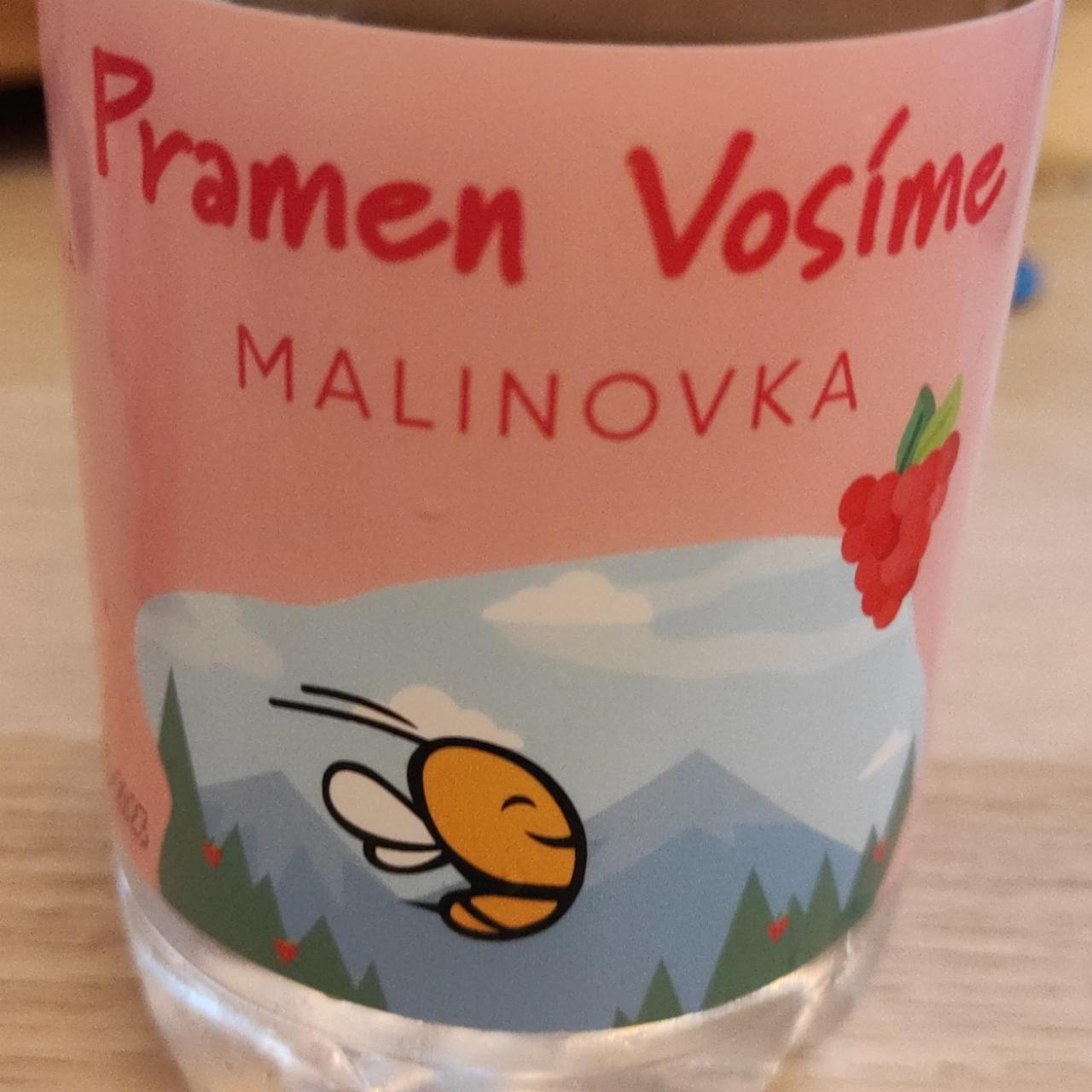 Fotografie - Pramen Vosíme malinovka