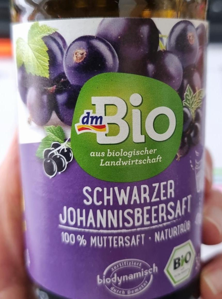 Fotografie - Schwarzer Johannisbeersaft dmBio