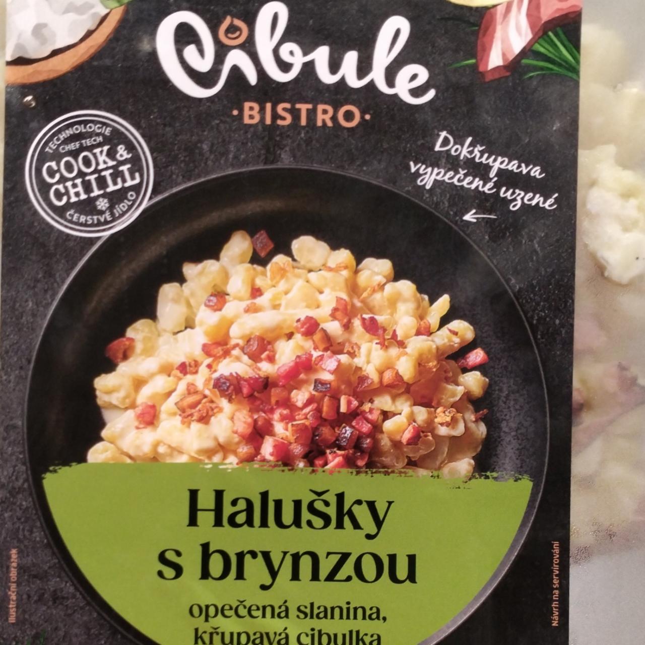 Fotografie - Halušky s brynzou Cibule Bistro