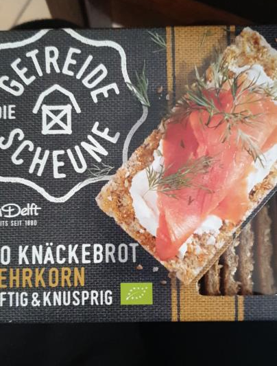 Fotografie - BIO Knäckebrot Roggenmisch - VanDelft