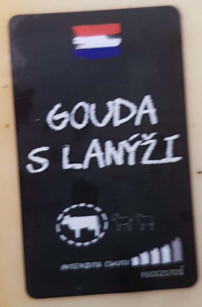 Fotografie - Gouda s lanýži