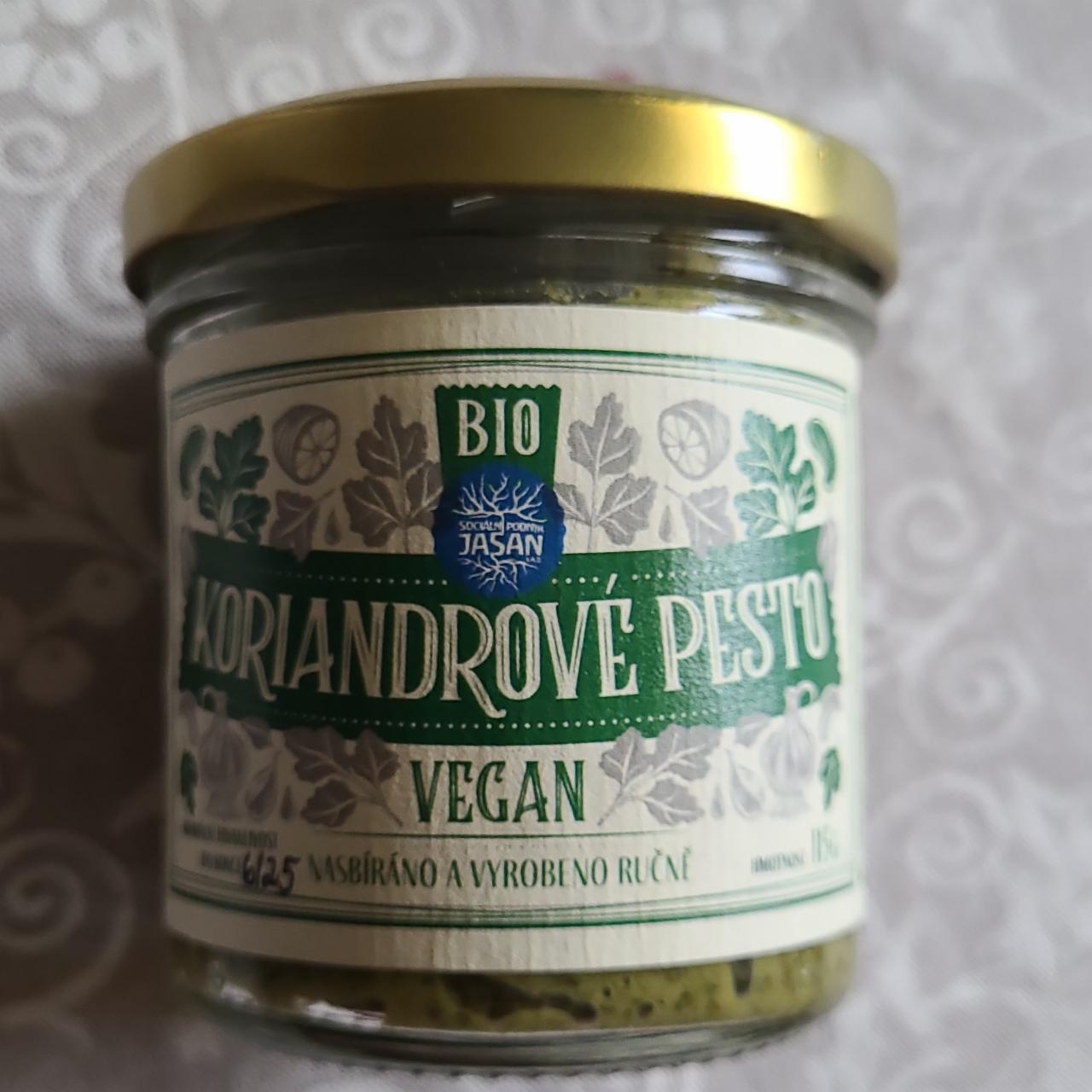 Fotografie - Bio Koriandrové pesto Jasan