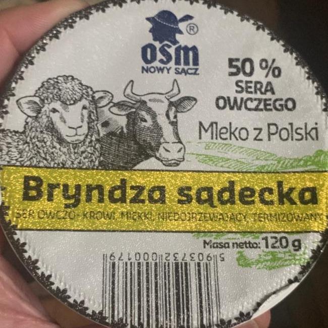 Fotografie - Bryndza Sądecka OSM Nowy Sącz