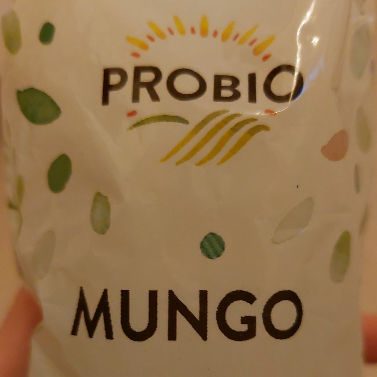 Fotografie - Mungo Probio