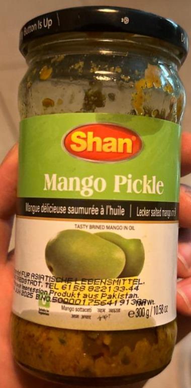 Fotografie - Mango Pickle Shan