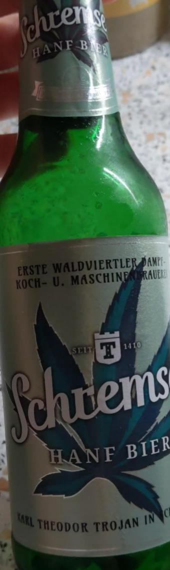 Fotografie - schrenser konopné pivo