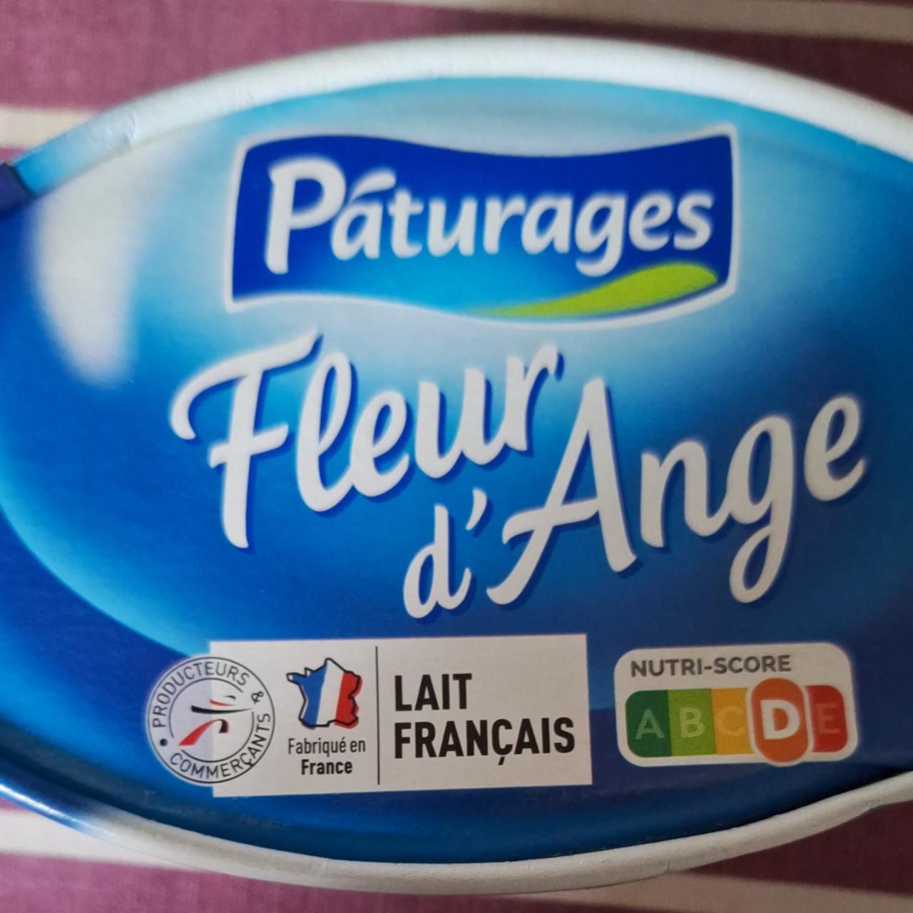 Fotografie - Fleur d'ange Pâturages