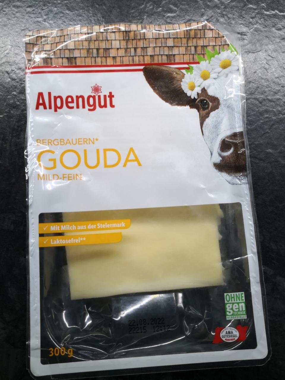 Fotografie - Gouda in7 scheiben