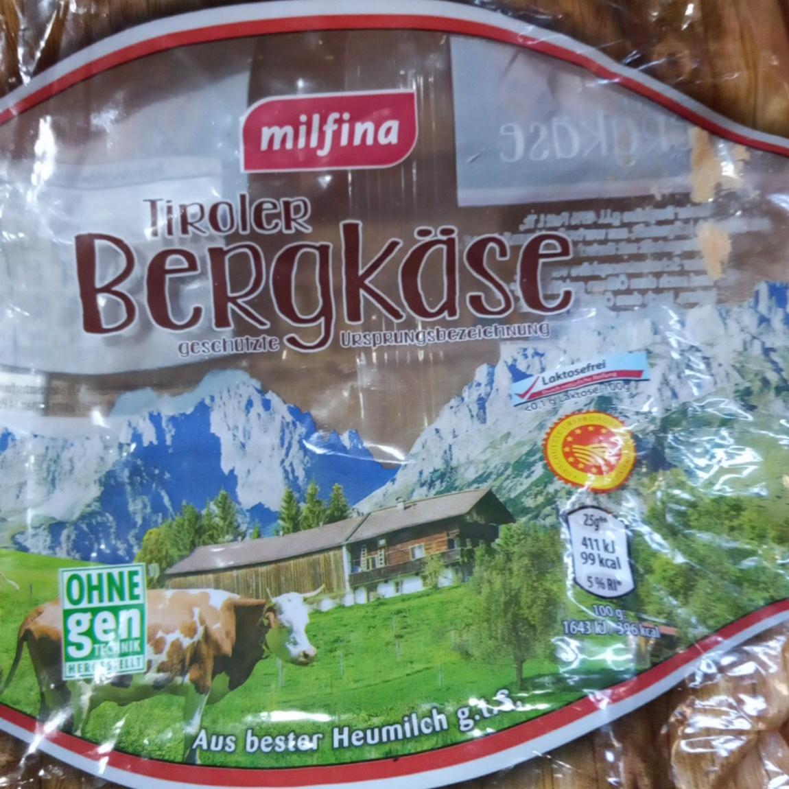 Fotografie - tiroler Bergkäse 2