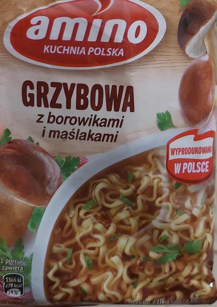 Fotografie - Grzybowa z borowikami i maślakami Amino