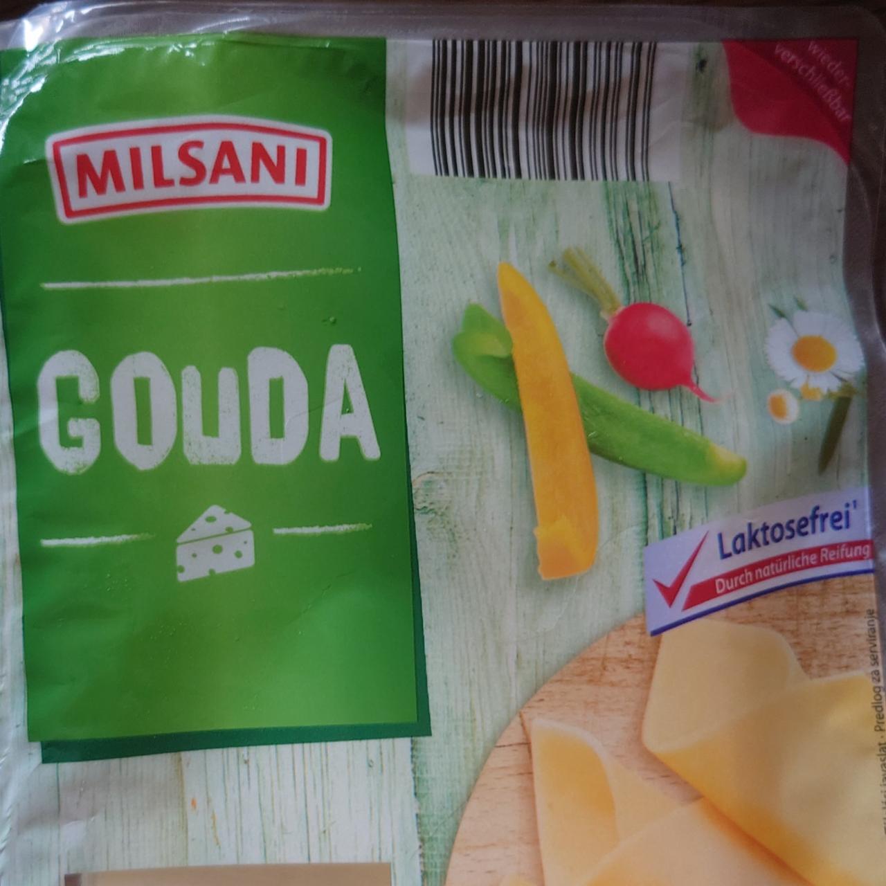 Fotografie - Gouda laktosefrei Milsani