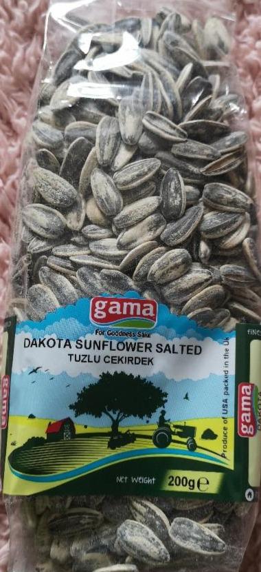 Fotografie - Dakota Sunflower Salted Gama