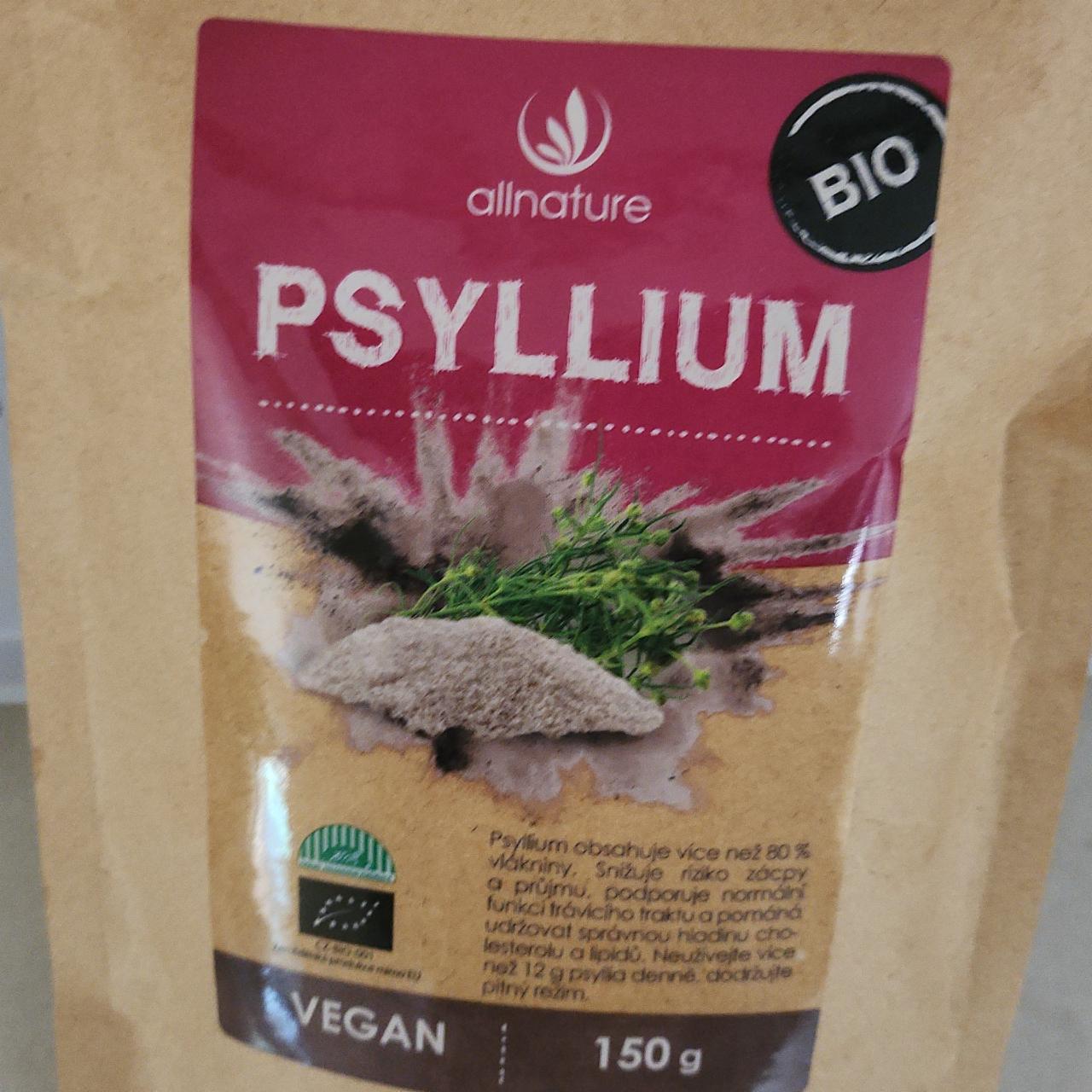 Fotografie - Psyllium Allnature