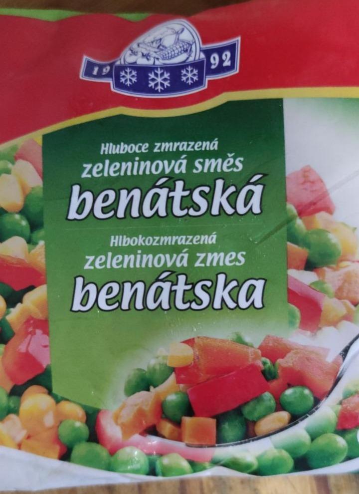 Fotografie - Benátská zeleninová směs Vinica