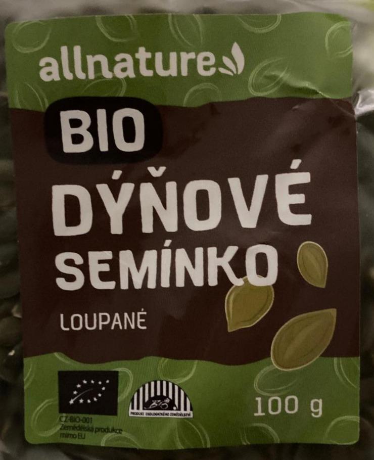 Fotografie - Bio dýňové semínko loupané Allnature