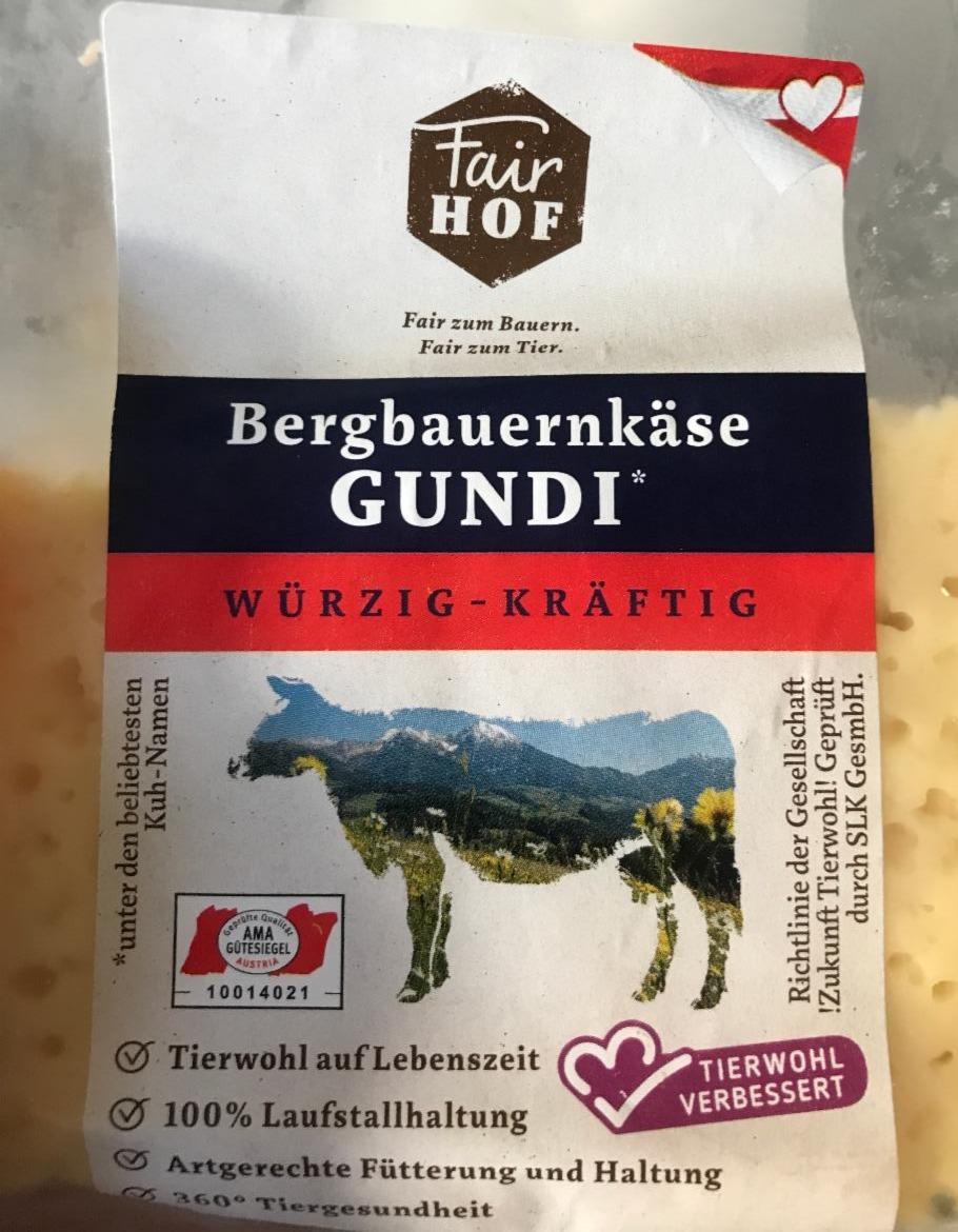 Fotografie - Bergbauernkäse GUNDI