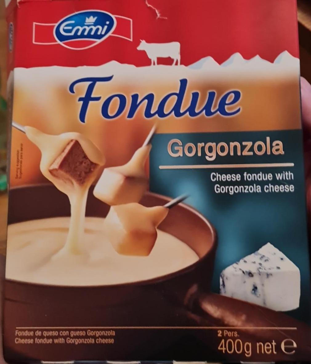 Fotografie - Fondue Gorgonzola Emmi