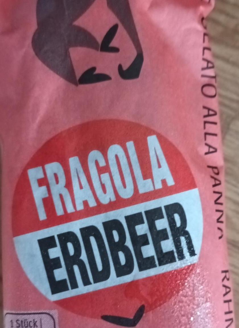 Fotografie - Fragola erdbeer nanuk