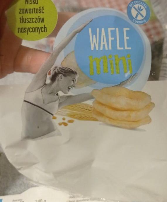 Fotografie - wafle mini Vitanella