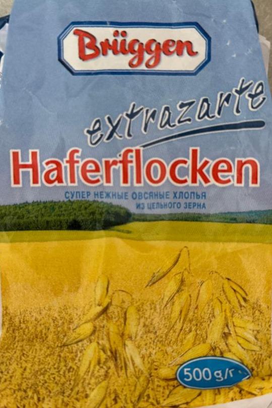 Fotografie - Haferfloken Brüggen