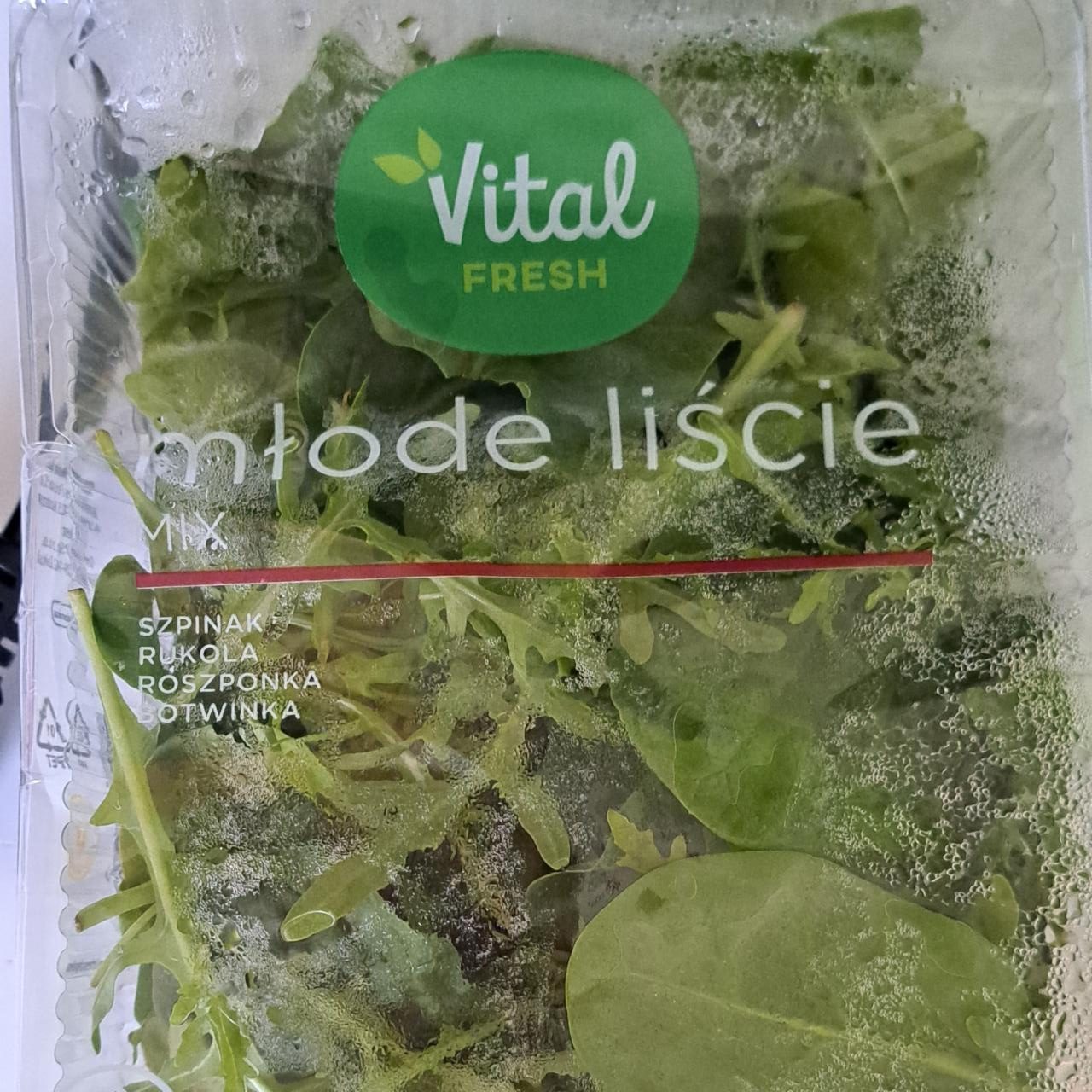 Fotografie - Mľode liście mix Vital fresh