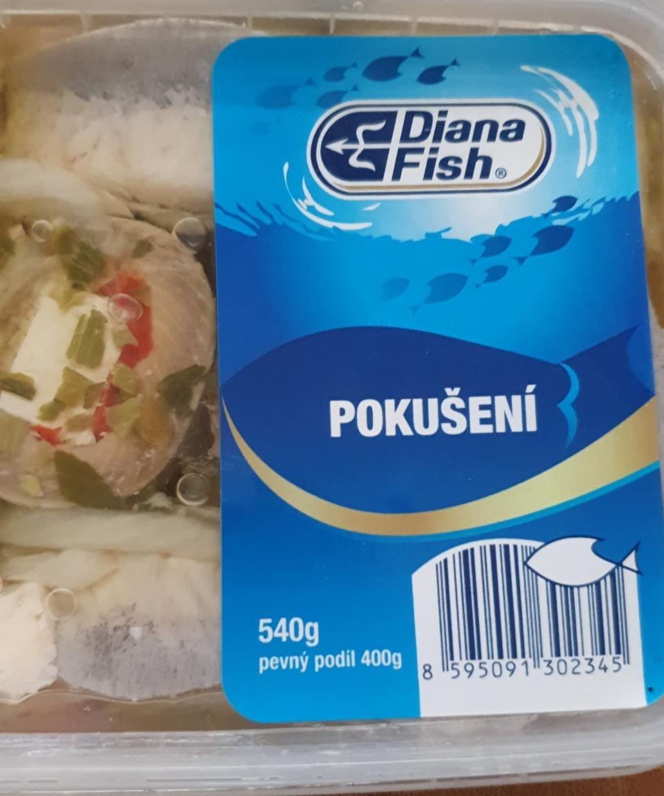 Fotografie - Pokušení Diana Fish