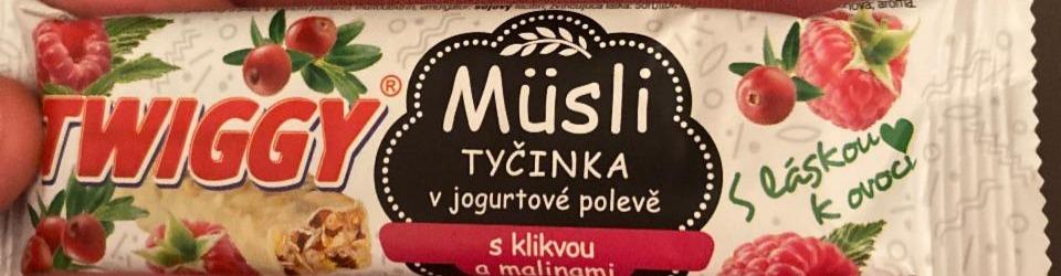 Fotografie - twiggy müsli tyčinka v jogurtové polevě s klikvou a malinami TWIGGY