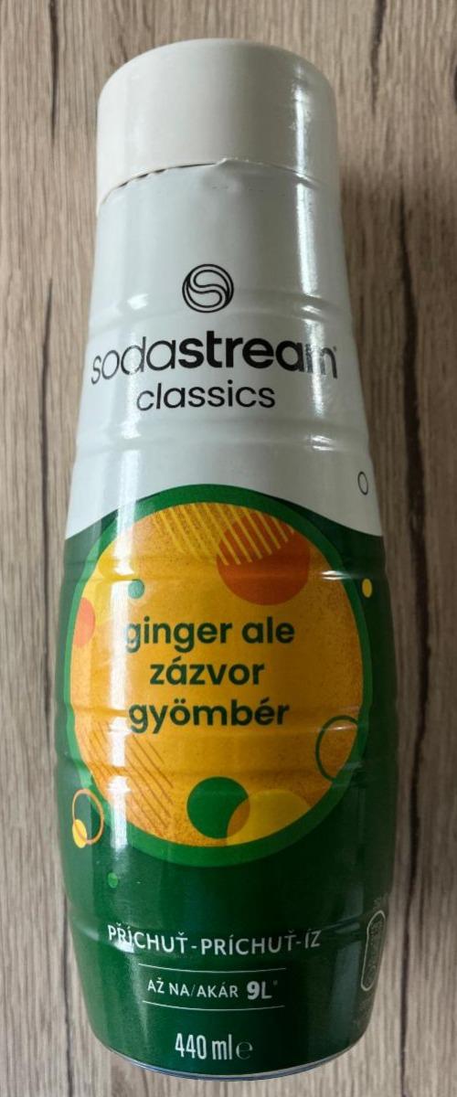 Fotografie - Ginger ale zázvor Sodastream