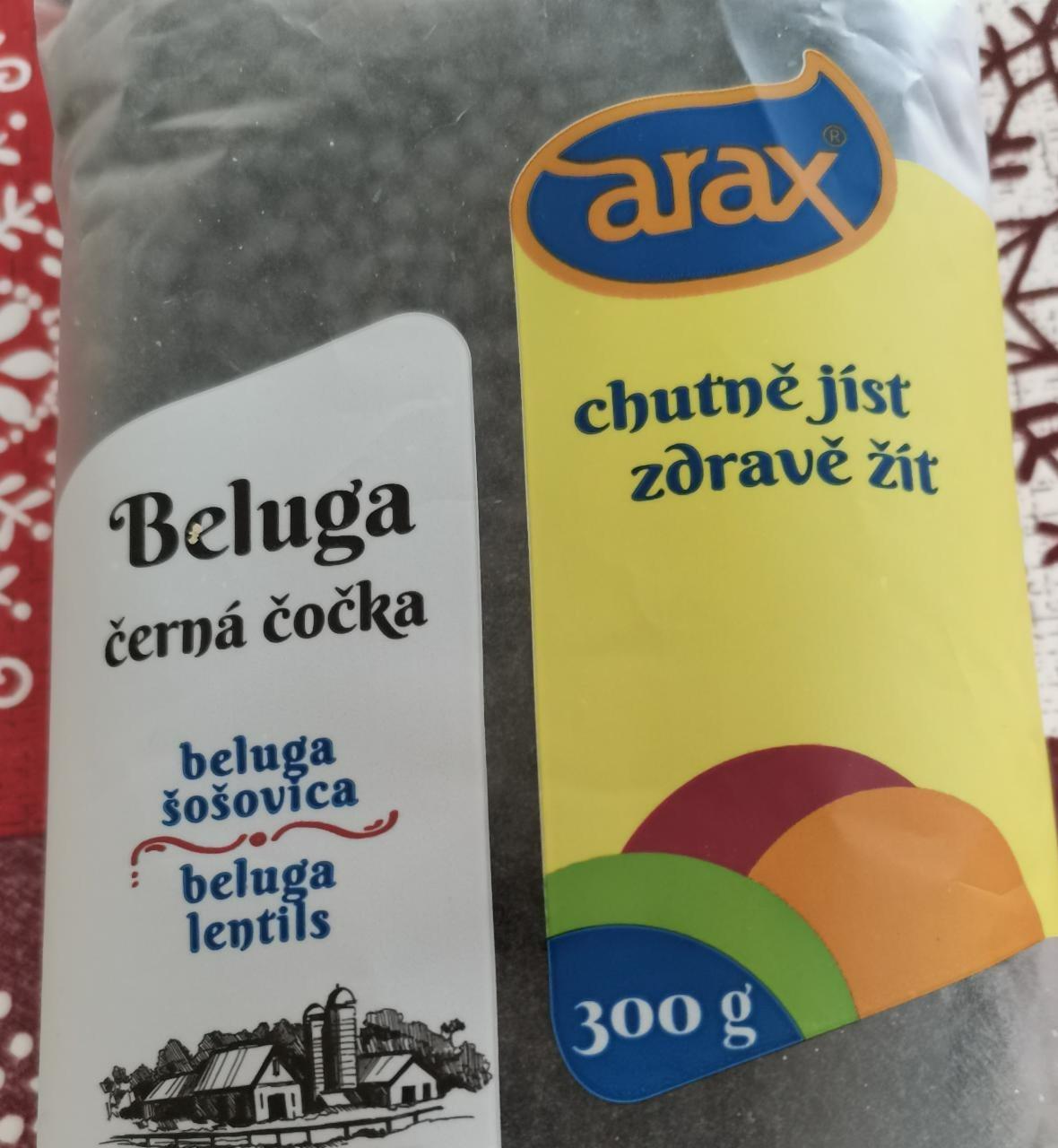 Fotografie - Beluga černá čočka Arax