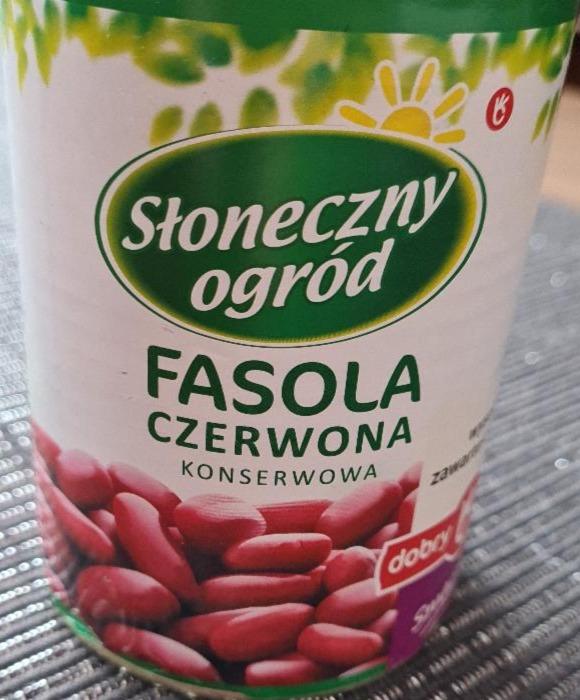 Fotografie - Fasola czerwona konserwowa Słoneczny ogród