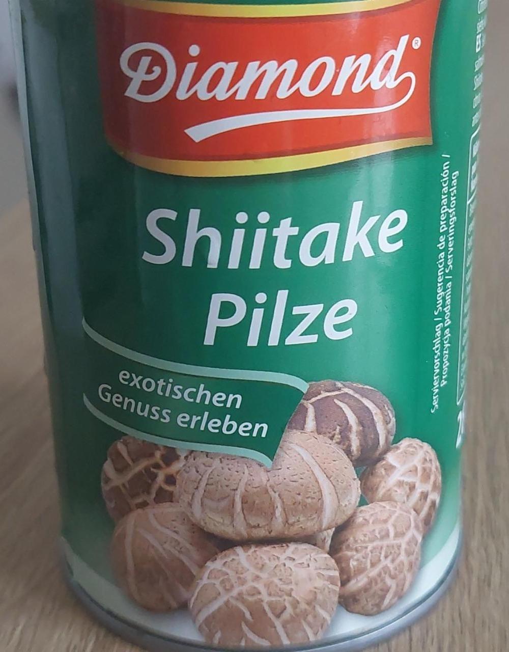 Fotografie - Shiitake Pilze Diamond