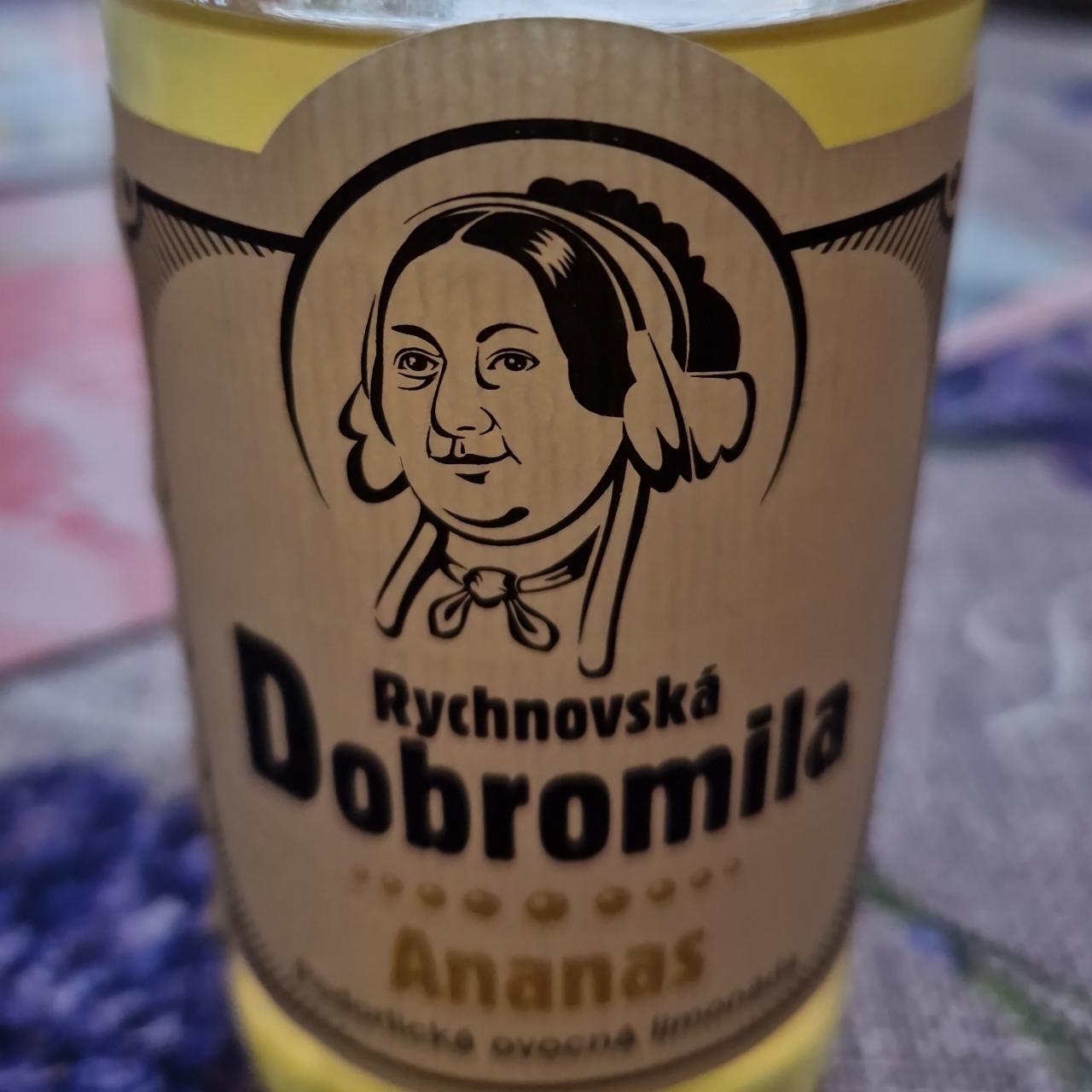 Fotografie - Rychnovská Dobromila Ananas