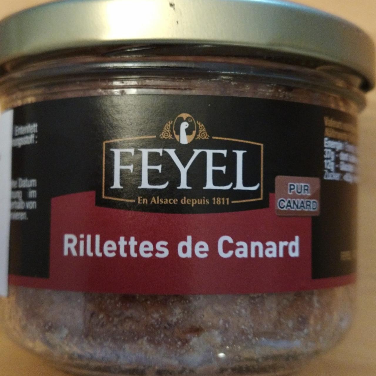 Fotografie - Rillettes de Canard