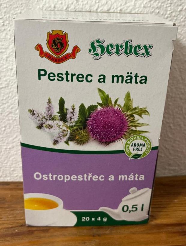 Fotografie - Ostropestřec a máta Herbex