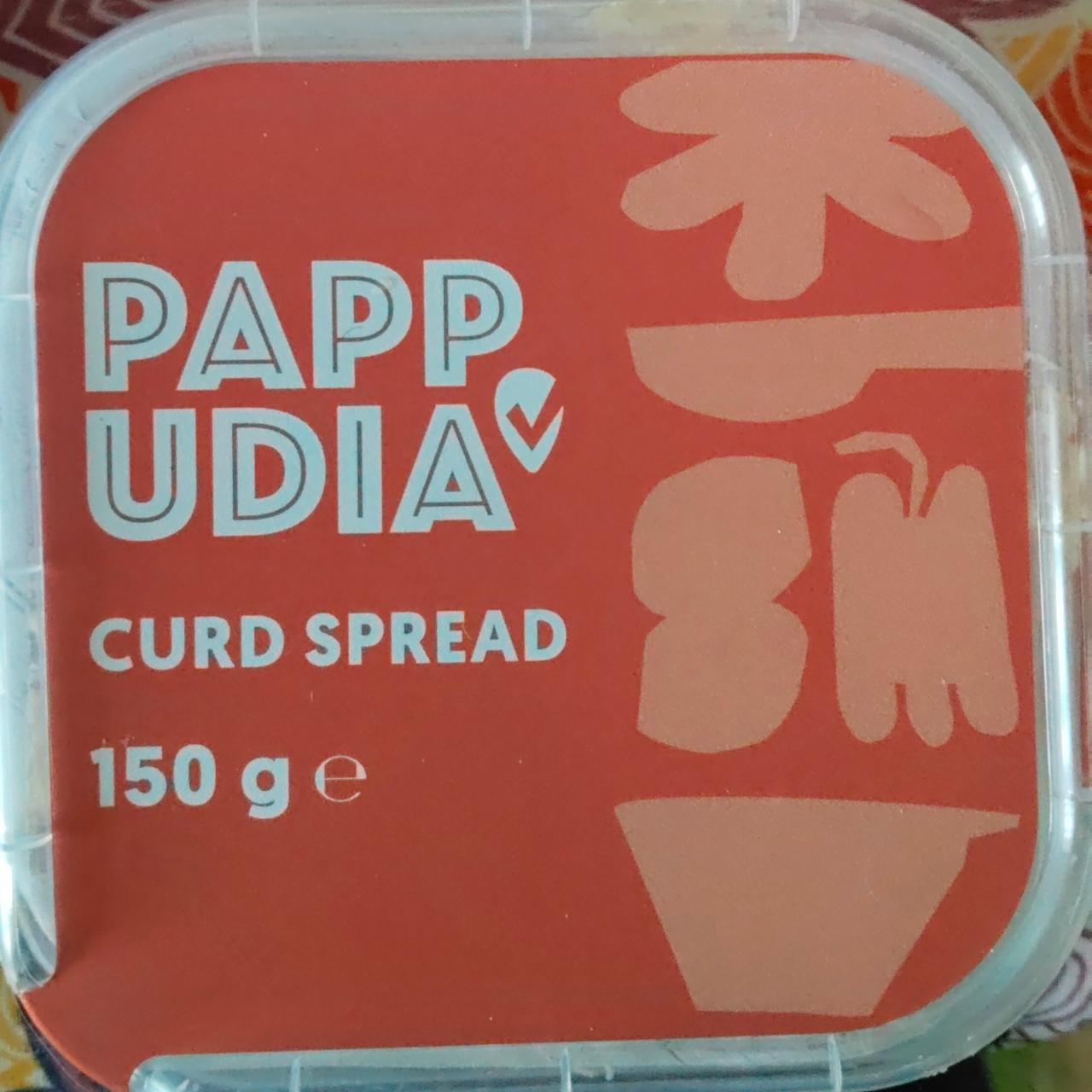 Fotografie - Curd spread Pappudia