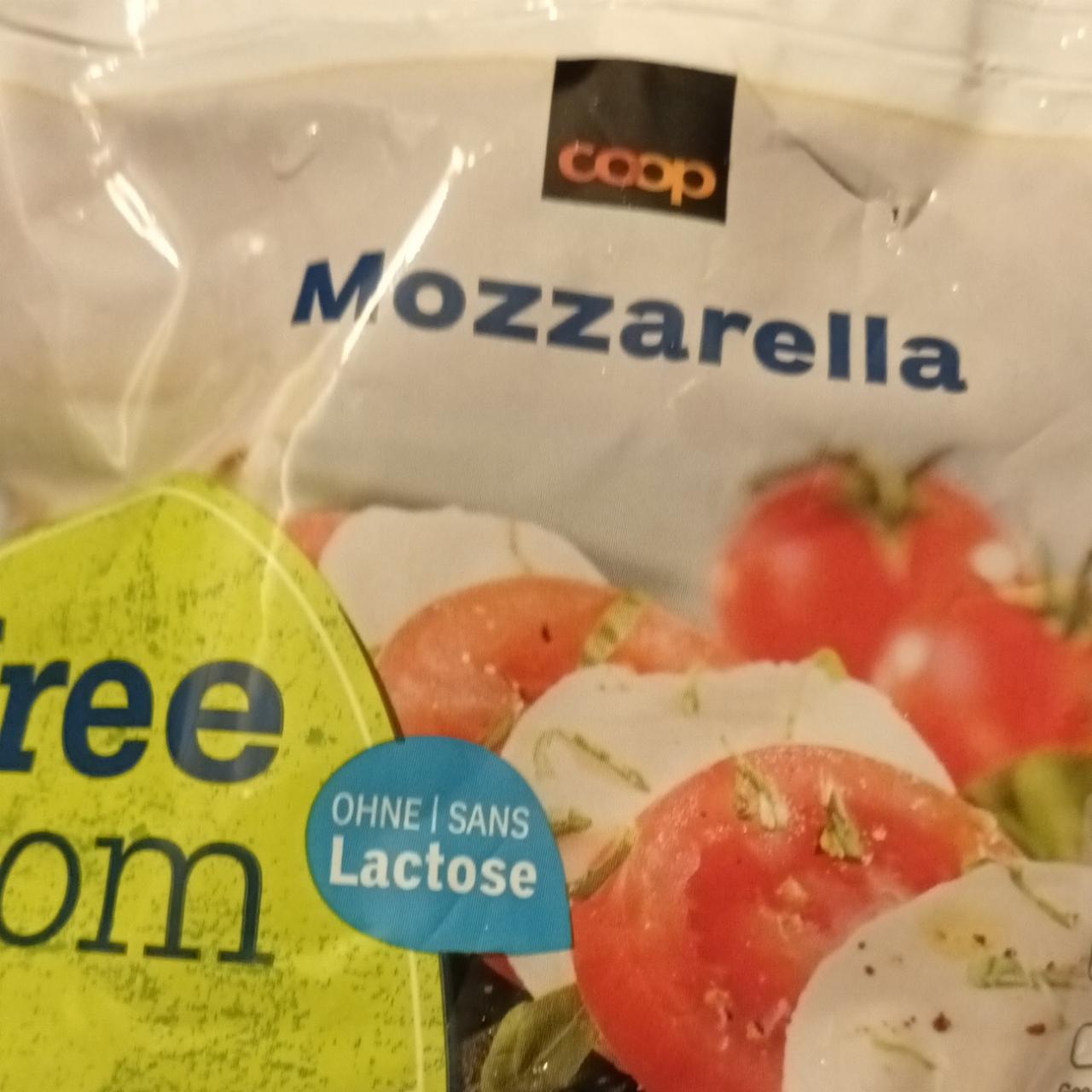 Fotografie - Free From Mozzarella lactosefrei Coop