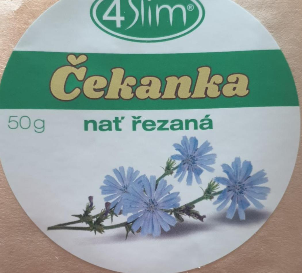 Fotografie - čekanka nať 4Slim