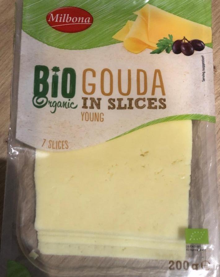 Fotografie - Gouda plátky Bio Milbona