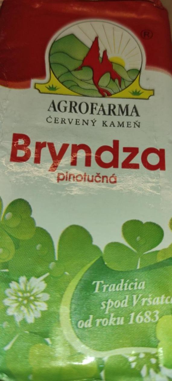 Fotografie - bryndza plnotučná Agrofarma