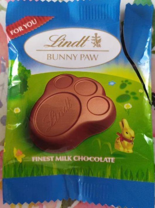 Fotografie - Lindt bunny paw